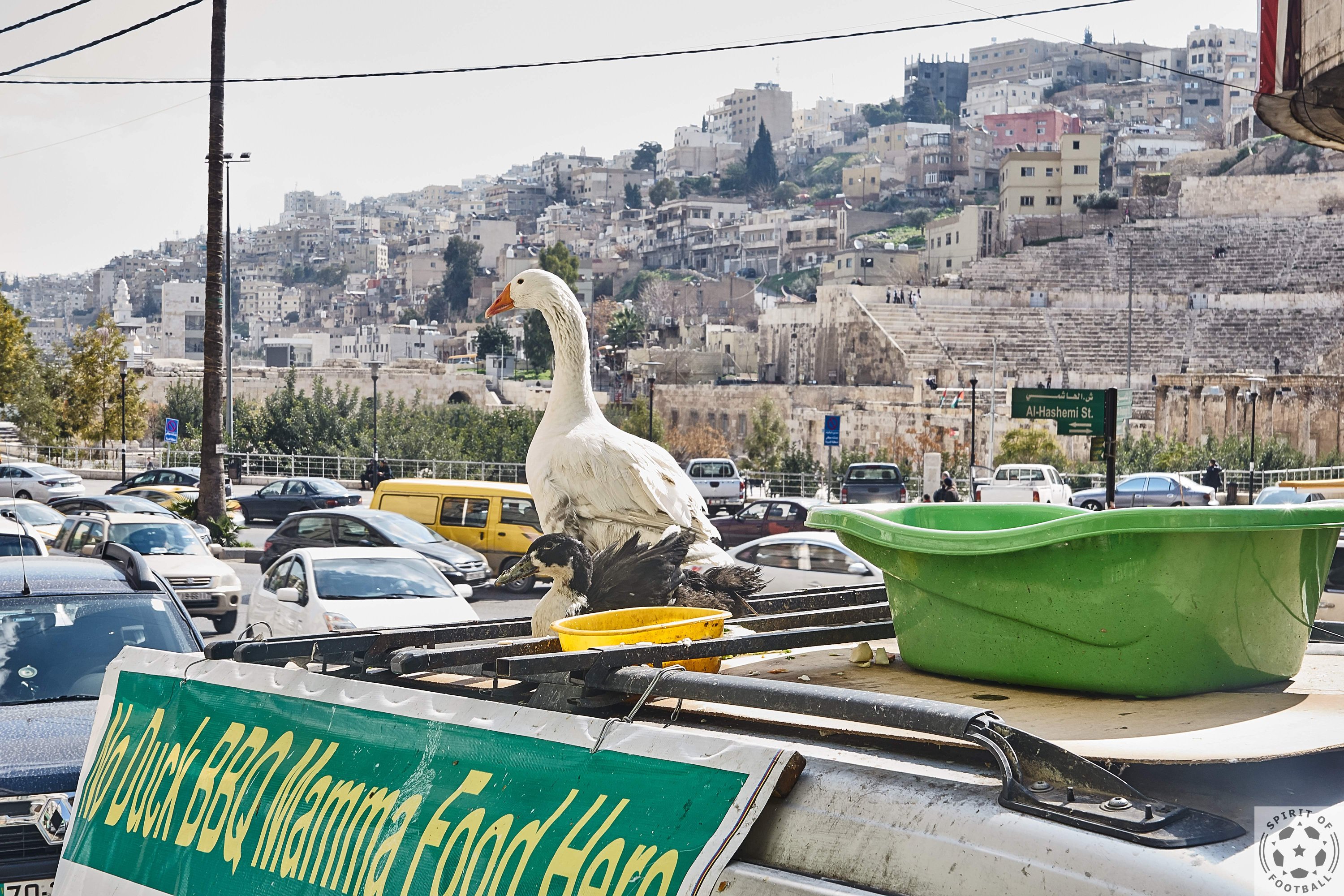 Erste Eindrücke von Jordanien & der Hauptstadt Amman: