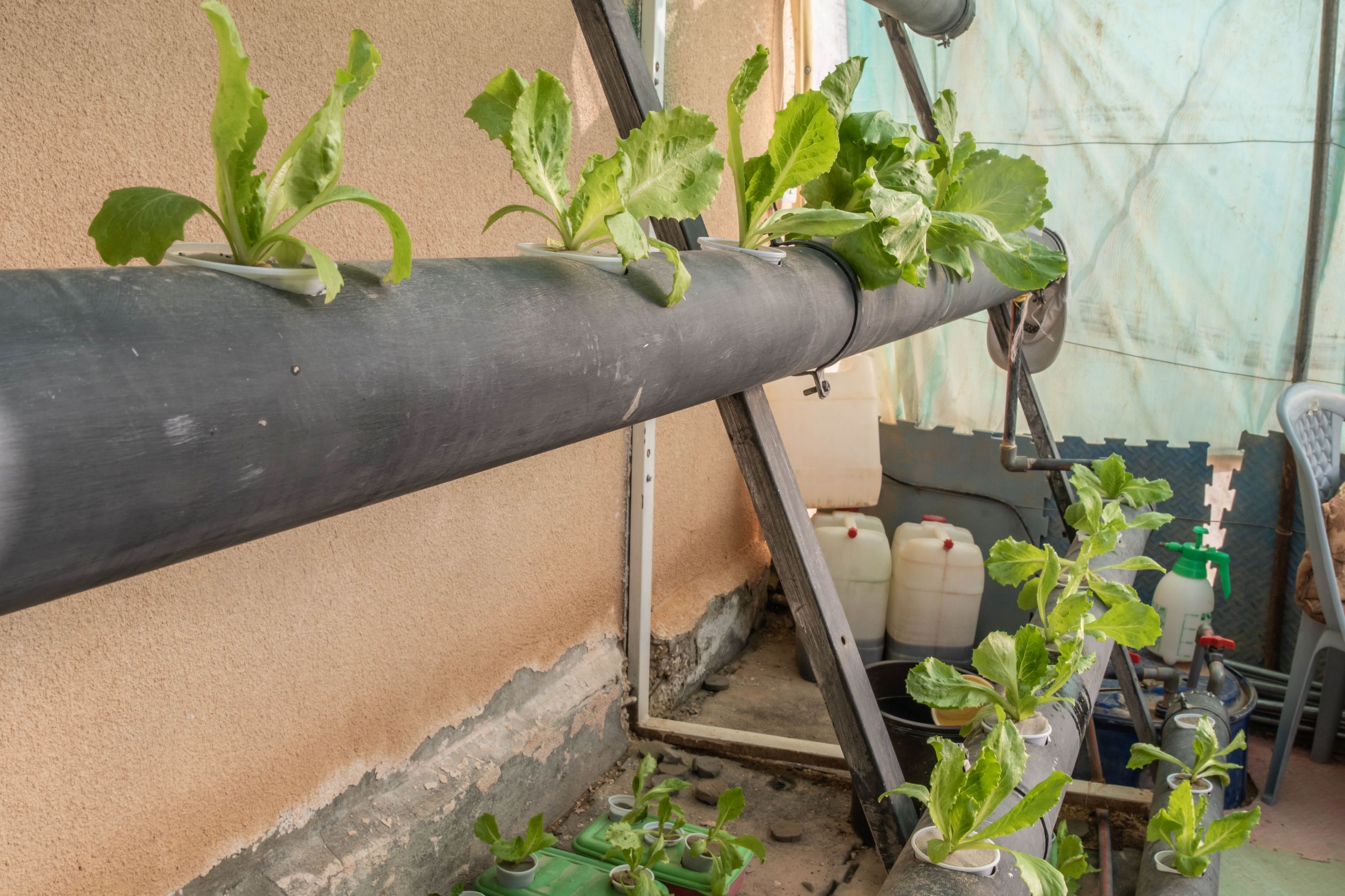 In the community centres, as well as in many of the gardens of the shelter, you can find hydroponic gardening. Here seeds are put in water with added nutrients to grow vegetables. This way no soil is needed.