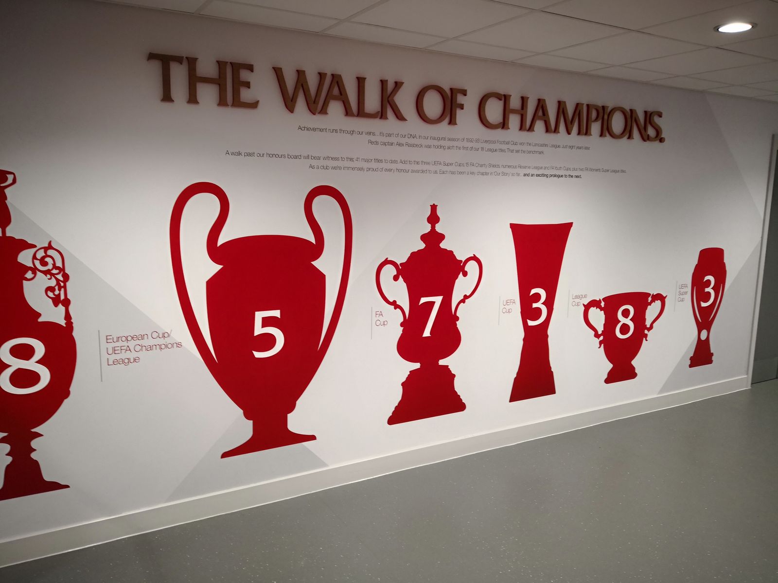 The Ball in Anfield