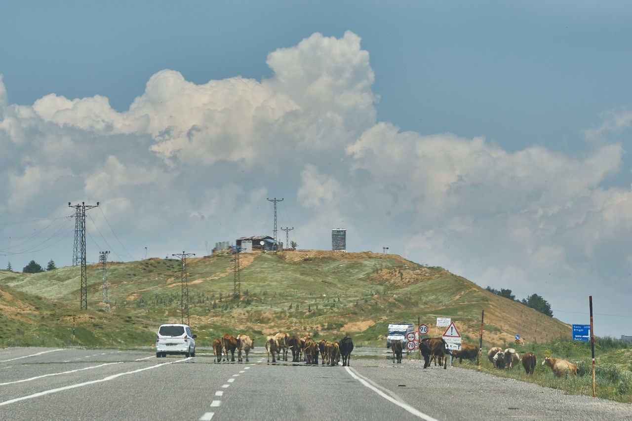 The Ball on the way to Tblisi