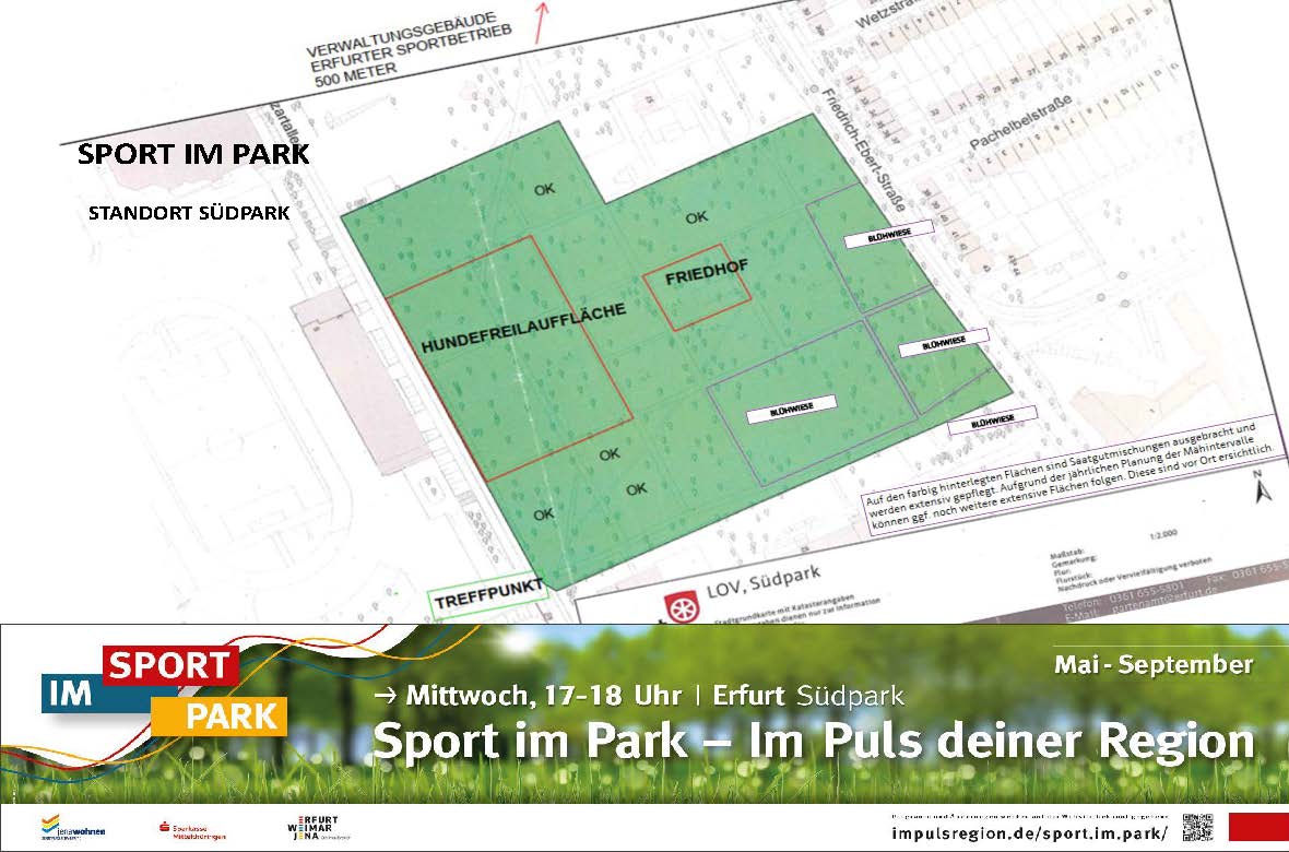 Lageplan der Spielfläche. Grafik: ESB