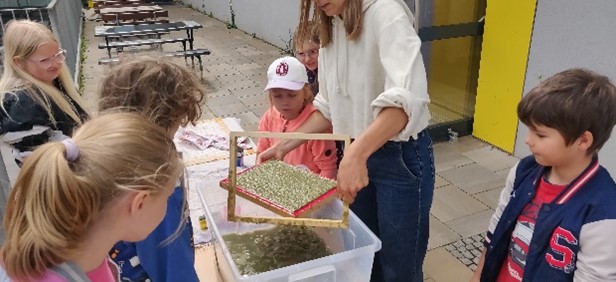 Bild4