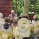 Bild5