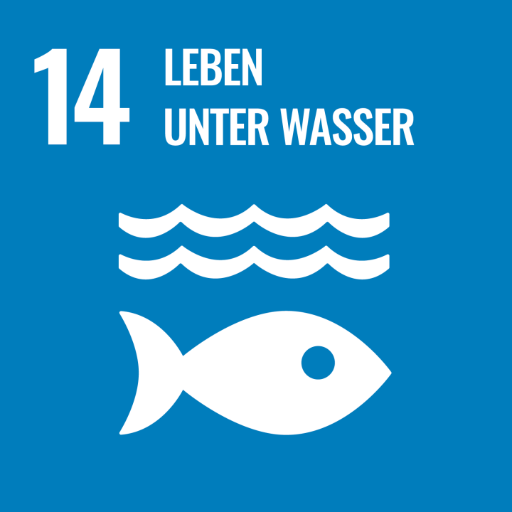 SDG 14: Leben unter Wasser